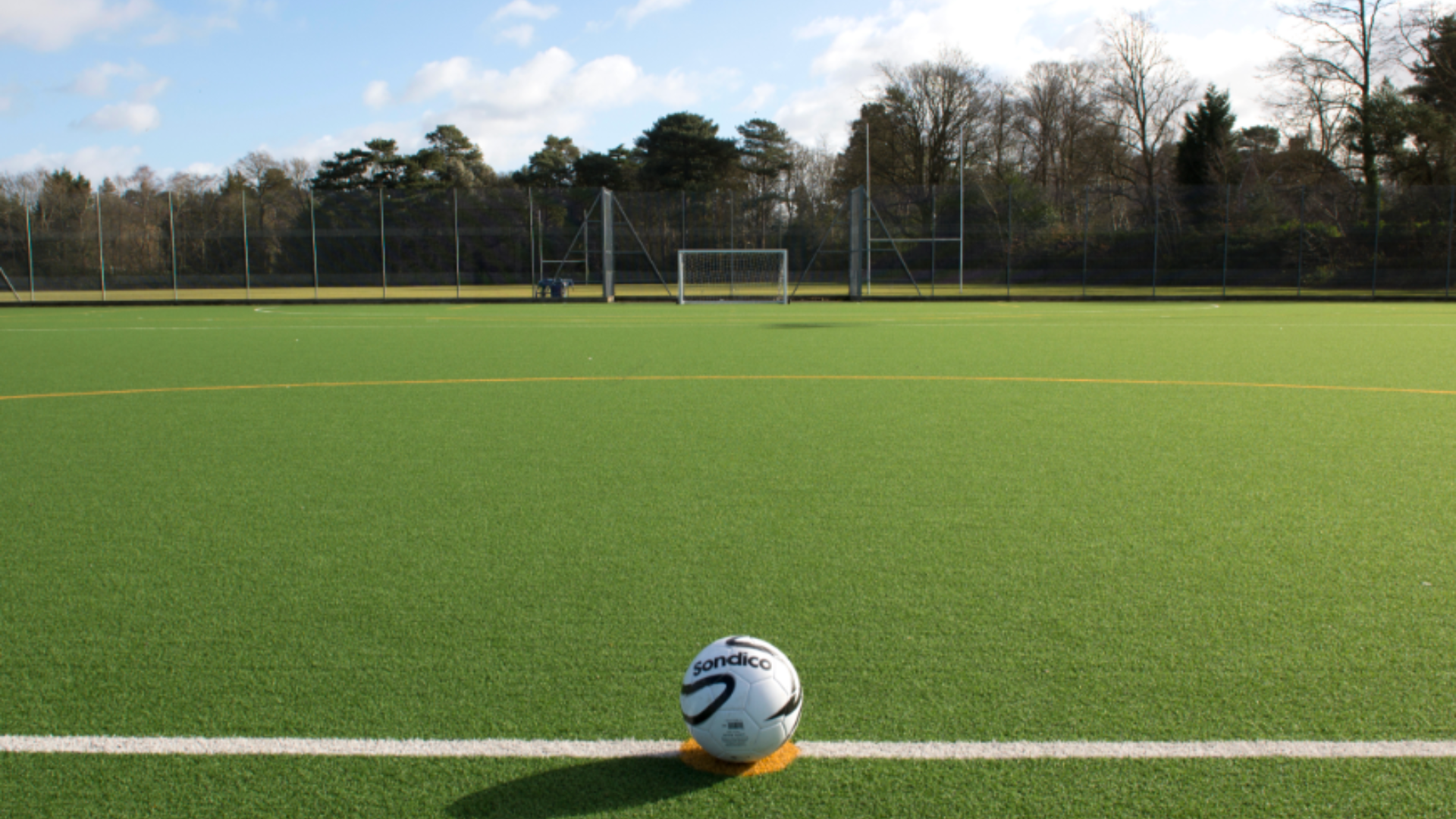 Astro turf pitch.png